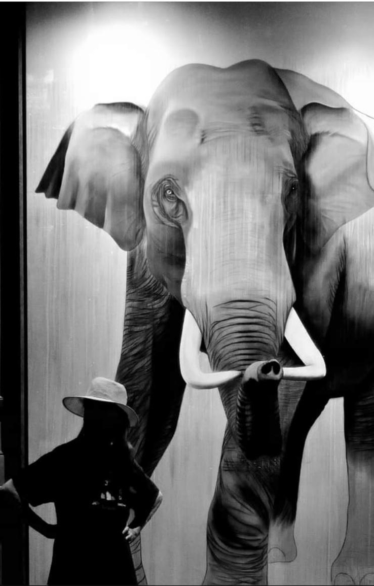 Cyrille-Auber animal-painting Thierry Bisch Contemporary painter animals painting art  nature biodiversity conservation Monaco Prince-Albert Prince-Albert-of-Monaco