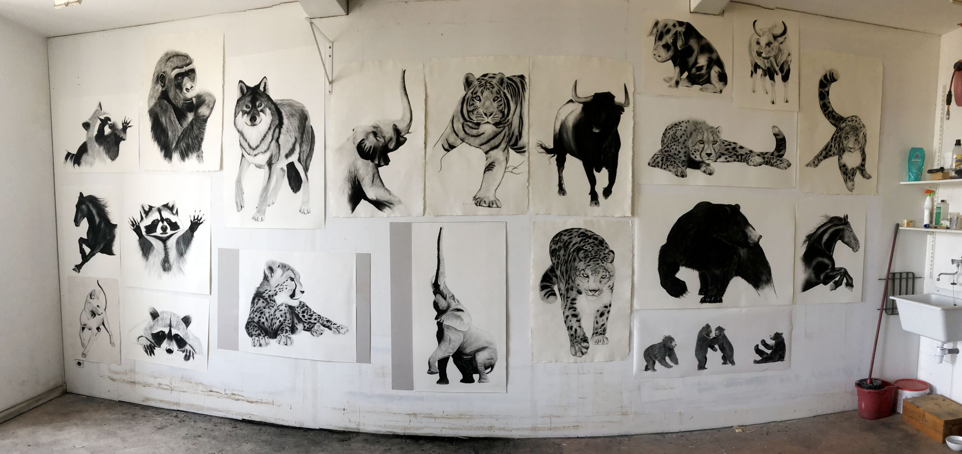 Studio-Mars-2022 peinture-animalière Thierry Bisch artiste peintre contemporain animaux tableau art  nature biodiversité conservation 