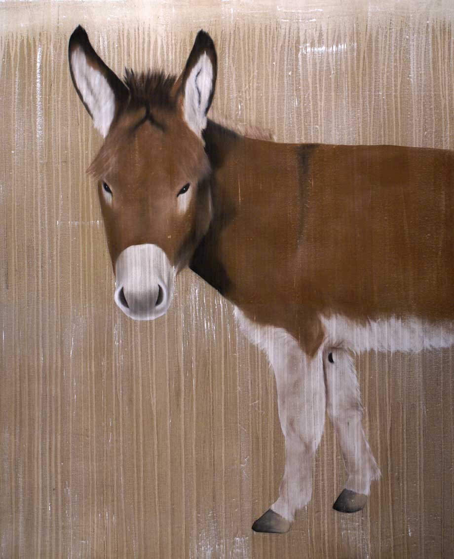Romeo donkey Thierry Bisch Contemporary painter animals painting art  nature biodiversity conservation 