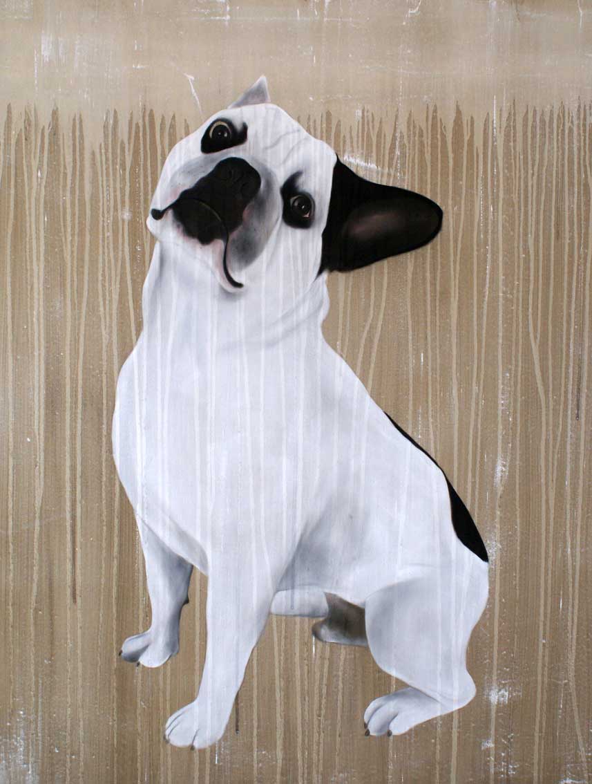 Bouledogue-francais-03 bulldog-french-frenchie-pet Thierry Bisch Contemporary painter animals painting art  nature biodiversity conservation 