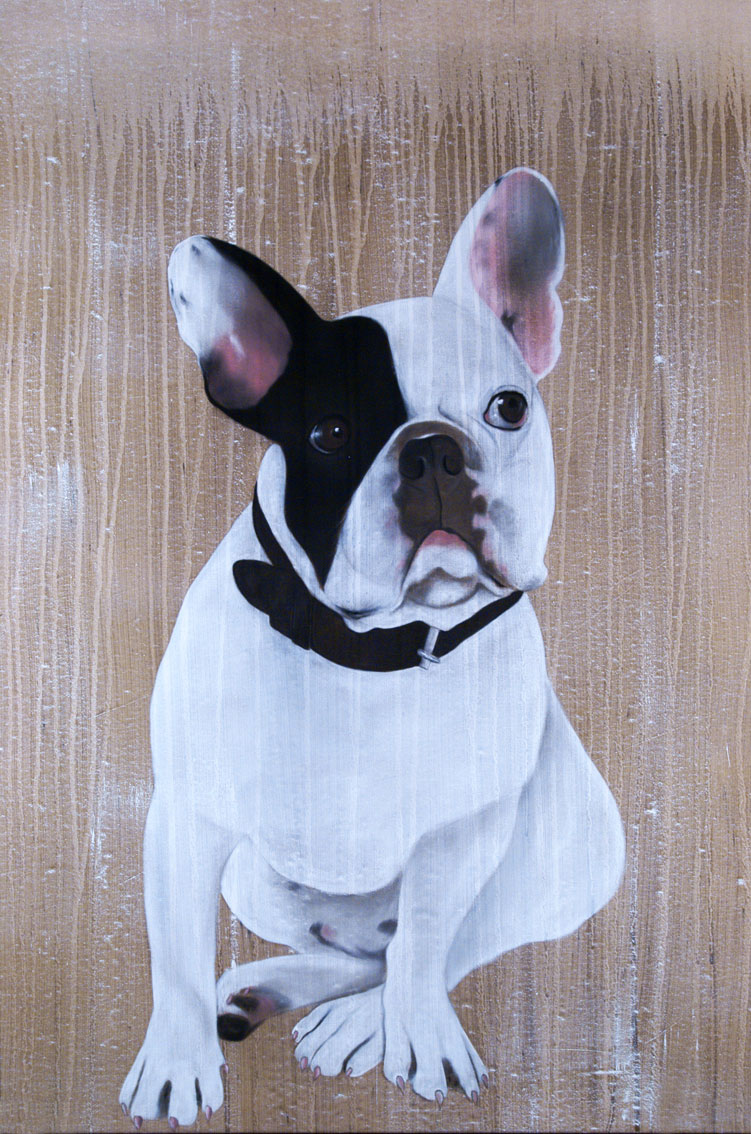 MR CUTE bulldog-french-frenchy-pet Thierry Bisch Contemporary painter animals painting art  nature biodiversity conservation 