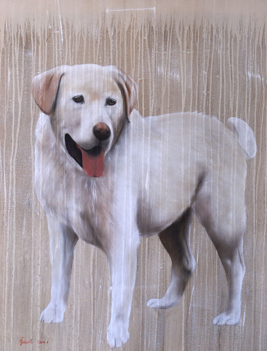 REA labrador-dog-hound-golden-retriever-white-dog-pet Thierry Bisch Contemporary painter animals painting art  nature biodiversity conservation 
