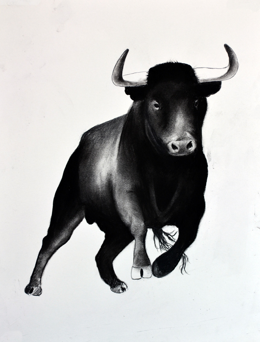 BULL-02 animal-painting Thierry Bisch Contemporary painter animals painting art  nature biodiversity conservation 