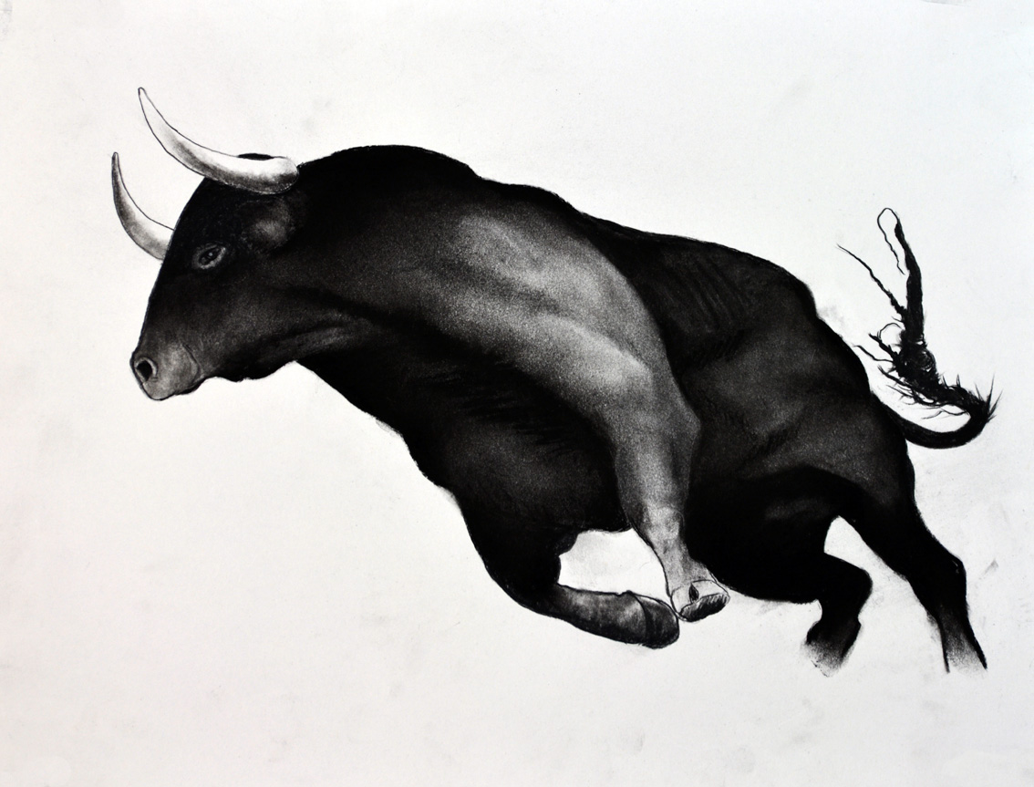 BULL-04 animal-painting Thierry Bisch Contemporary painter animals painting art  nature biodiversity conservation 