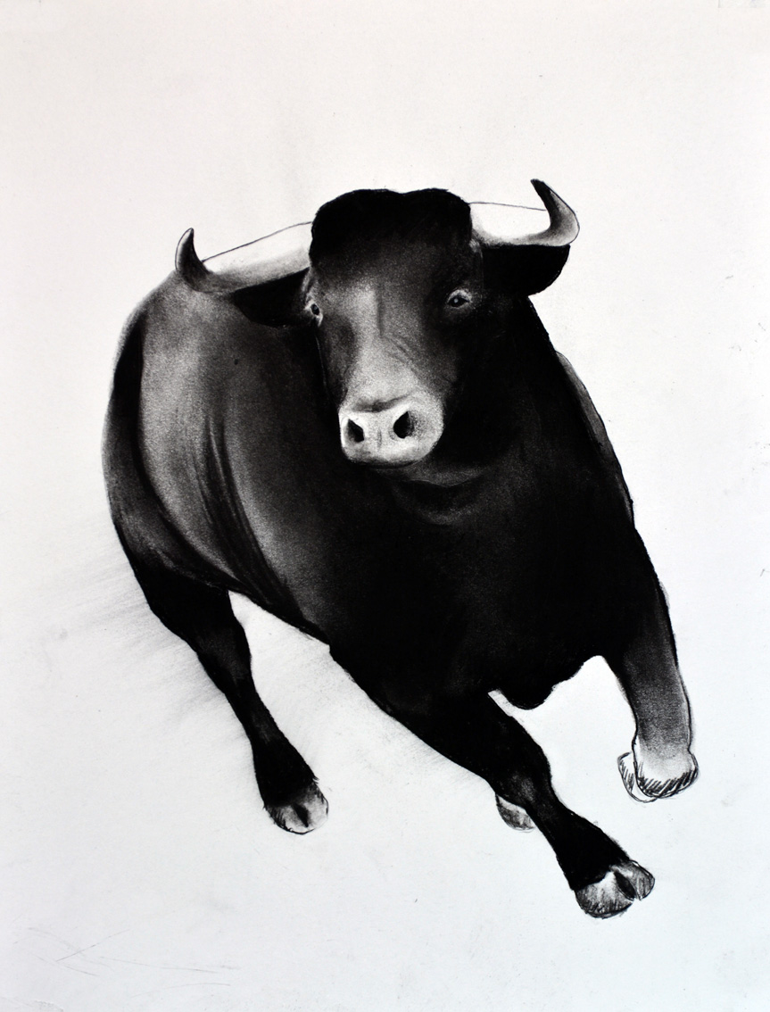 BULL-05 animal-painting Thierry Bisch Contemporary painter animals painting art  nature biodiversity conservation 