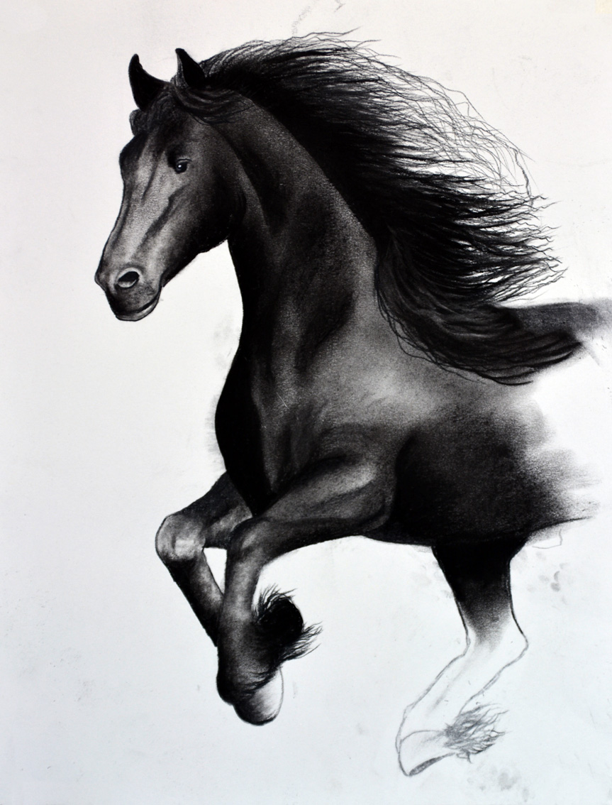 FRIESIAN-HORSE-04 animal-painting Thierry Bisch Contemporary painter animals painting art  nature biodiversity conservation 