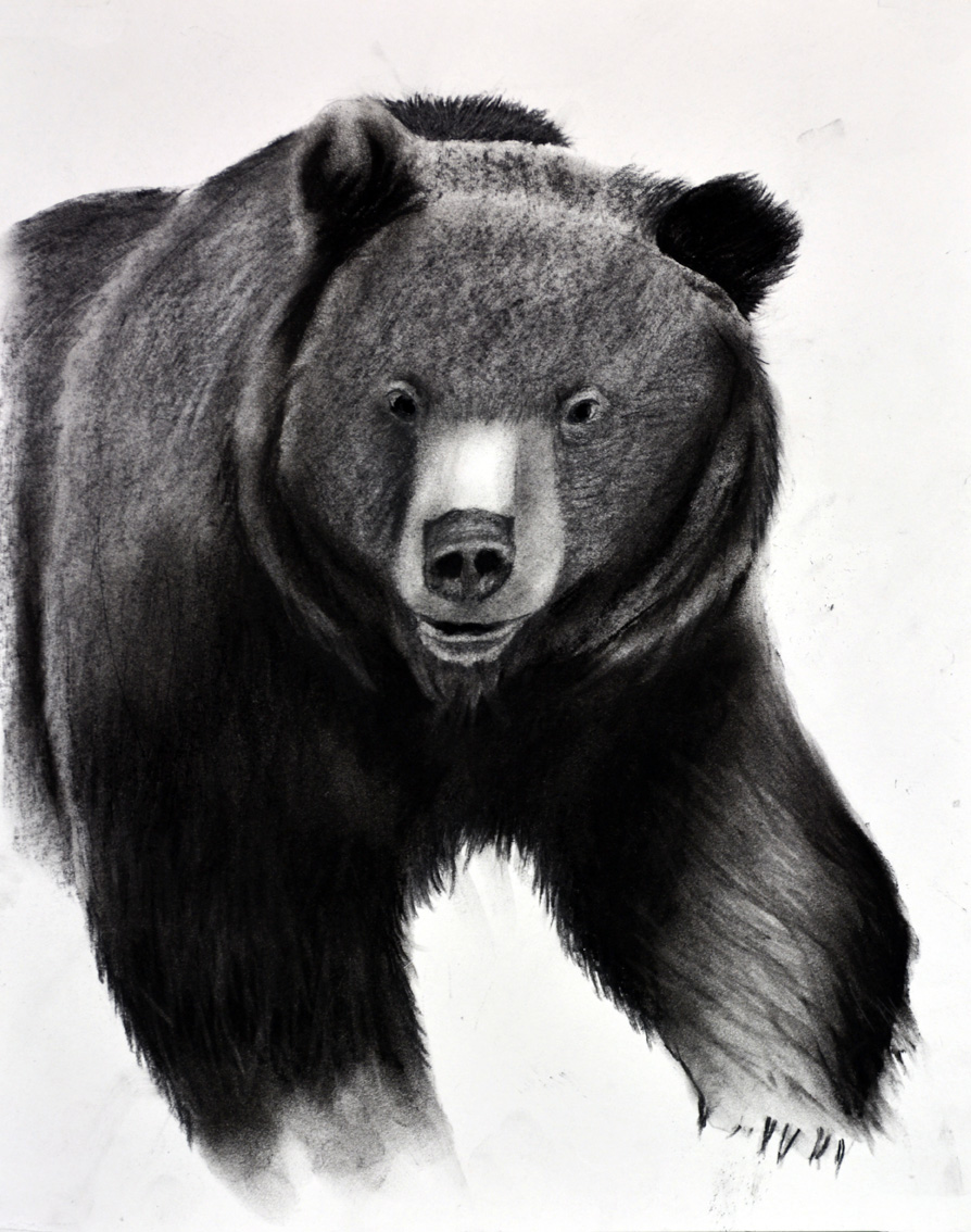 GRIZZLY-02 animal-painting Thierry Bisch Contemporary painter animals painting art  nature biodiversity conservation 