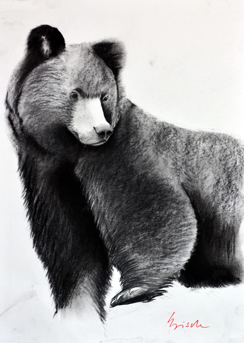 GRIZZLY-05 animal-painting Thierry Bisch Contemporary painter animals painting art  nature biodiversity conservation 