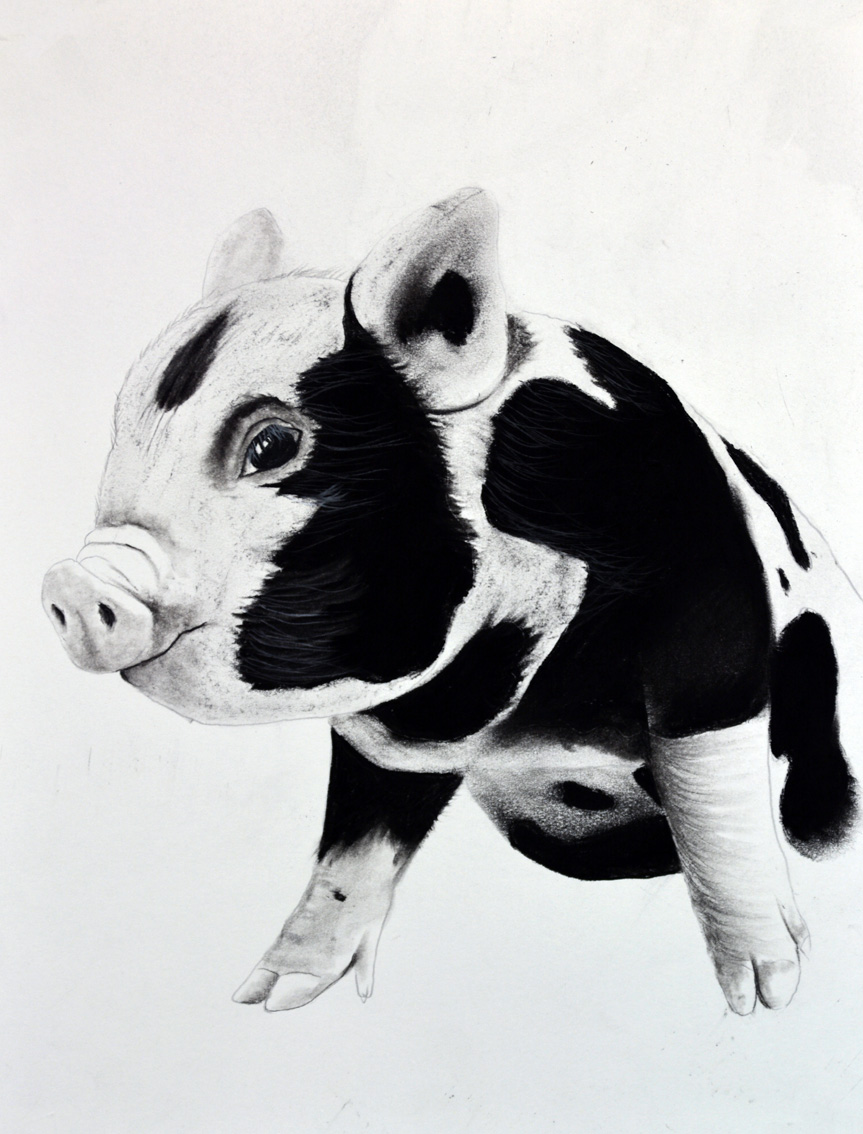 PIGGY-05 animal-painting Thierry Bisch Contemporary painter animals painting art  nature biodiversity conservation 