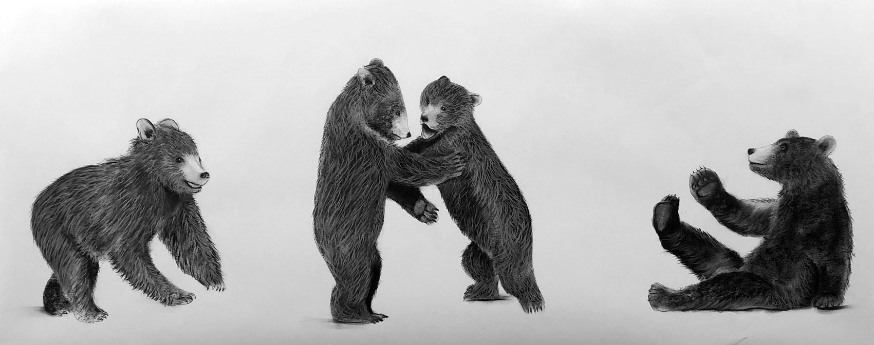 BEAR-CUBS bear-cub-ursus-arctos Thierry Bisch Contemporary painter animals painting art  nature biodiversity conservation 