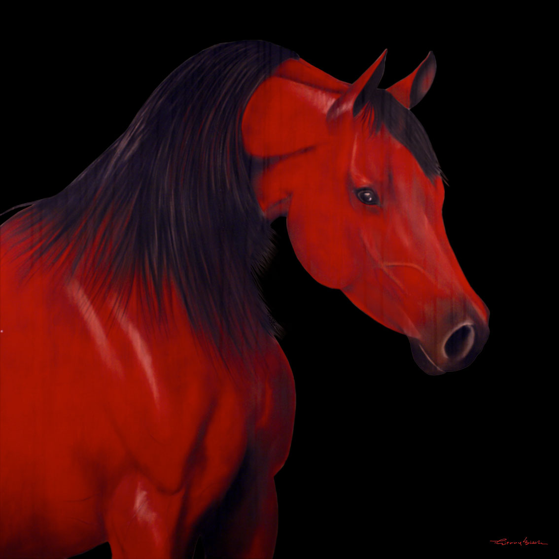 ALMERIA Horse-red-stallion-arabian-yearling- Thierry Bisch Contemporary painter animals painting art decoration nature biodiversity conservation