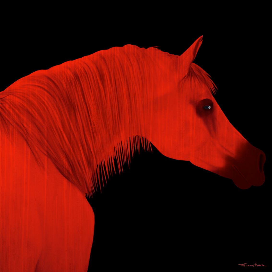 ARBOSIA Horse-red-stallion-arabian-yearling- Thierry Bisch Contemporary painter animals painting art decoration nature biodiversity conservation