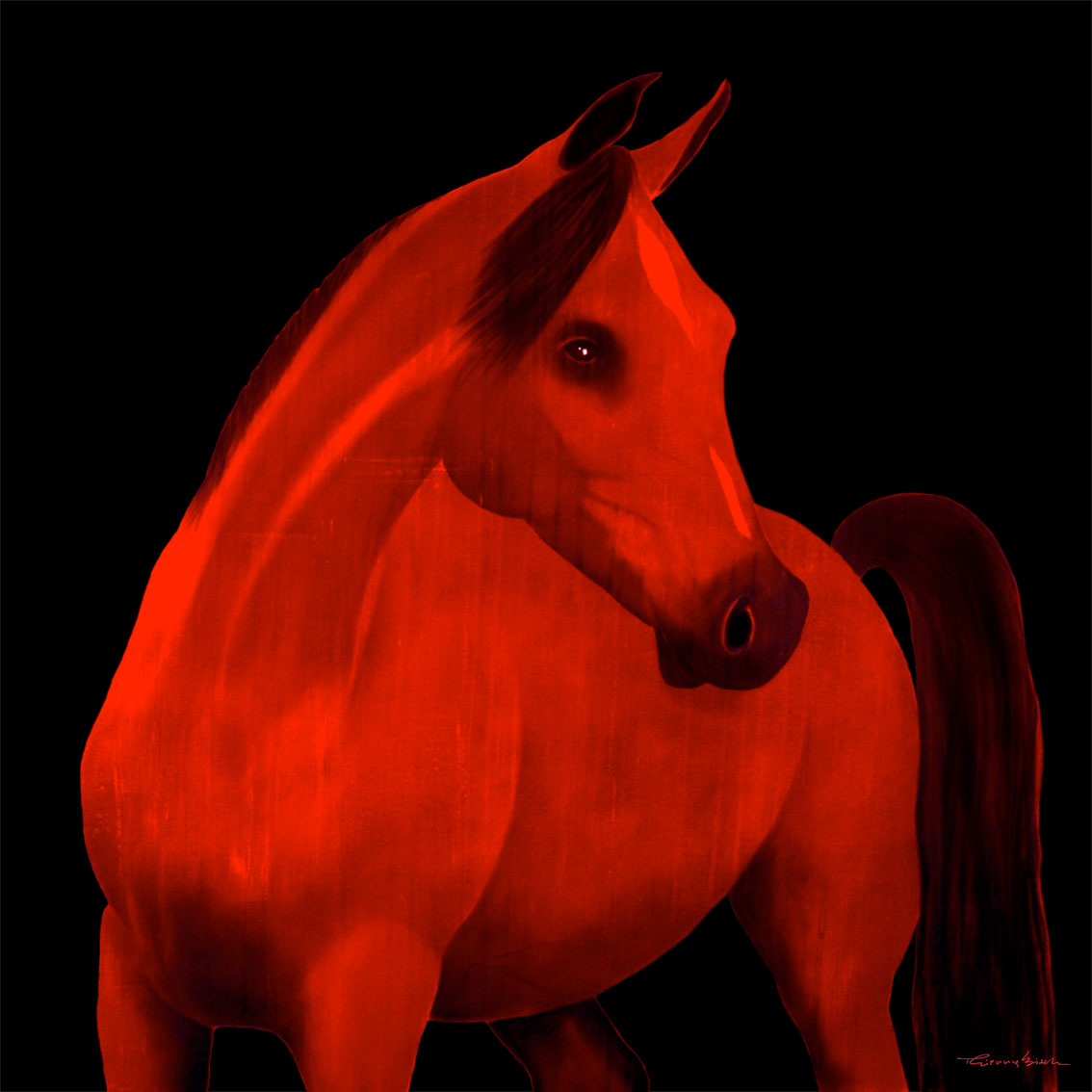 MALDOVA Horse-red-stallion-arabian-yearling- Thierry Bisch Contemporary painter animals painting art decoration nature biodiversity conservation
