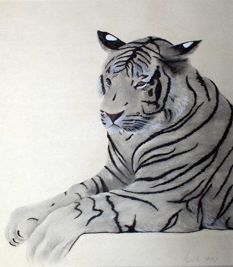 Tigre Tiger Thierry Bisch Contemporary painter animals painting art  nature biodiversity conservation 