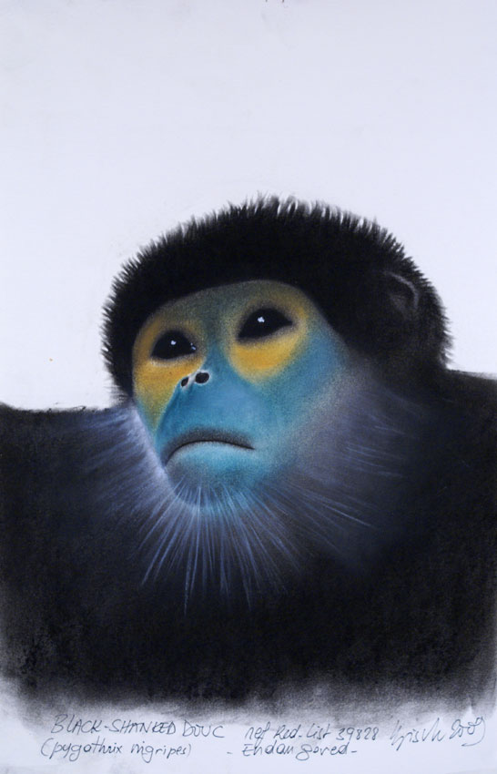 BLACK-SHANKED-DOUC Monkey-ape Thierry Bisch Contemporary painter animals painting art  nature biodiversity conservation 