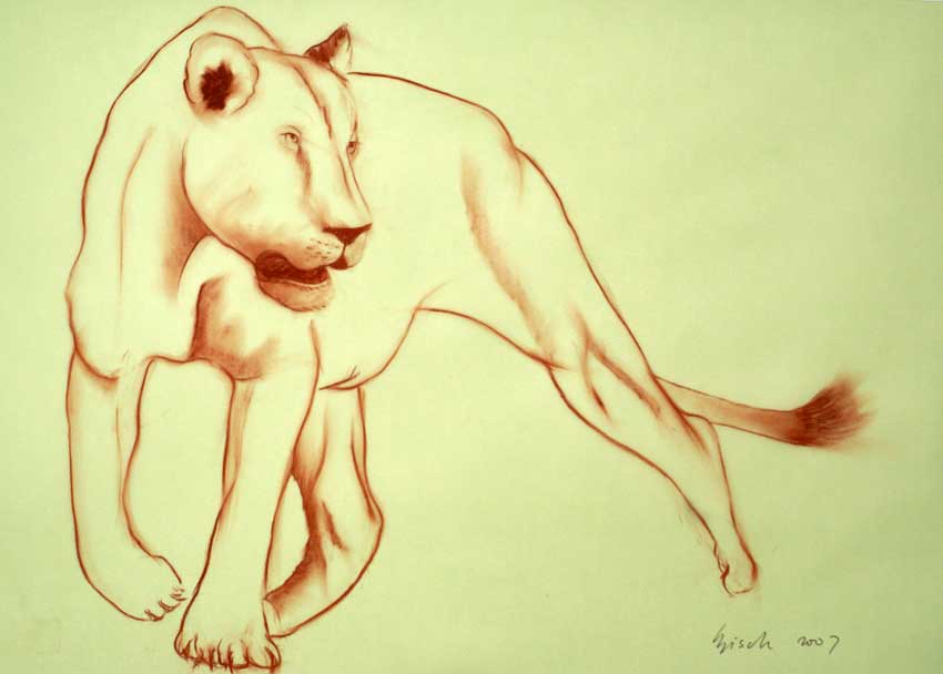 Lioness lion-lioness Thierry Bisch Contemporary painter animals painting art  nature biodiversity conservation 