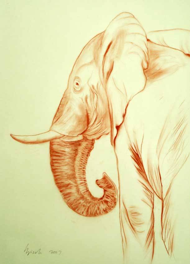 Elephant 002 Elephant Thierry Bisch Contemporary painter animals painting art  nature biodiversity conservation 