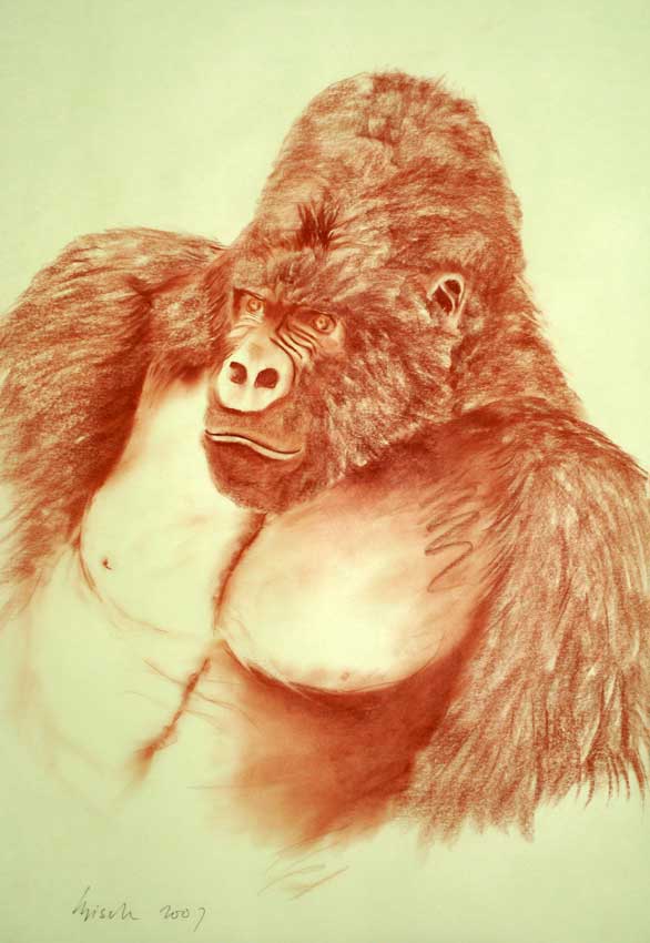 Gorilla gorilla-monkey-ape Thierry Bisch Contemporary painter animals painting art  nature biodiversity conservation 