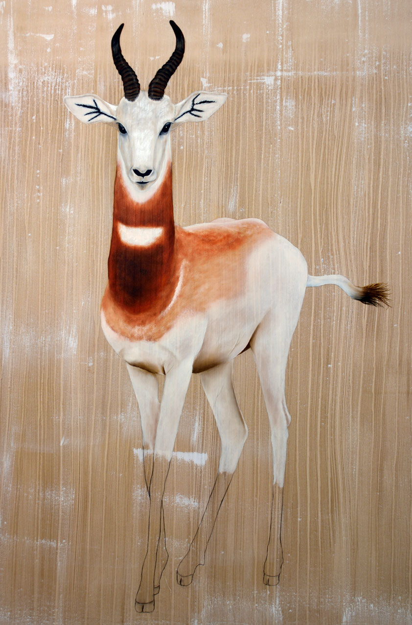 GAZELLA-DAMA dama-damas-gazelle-addra-delete-threatened-endangered-extinction Thierry Bisch Contemporary painter animals painting art  nature biodiversity conservation 