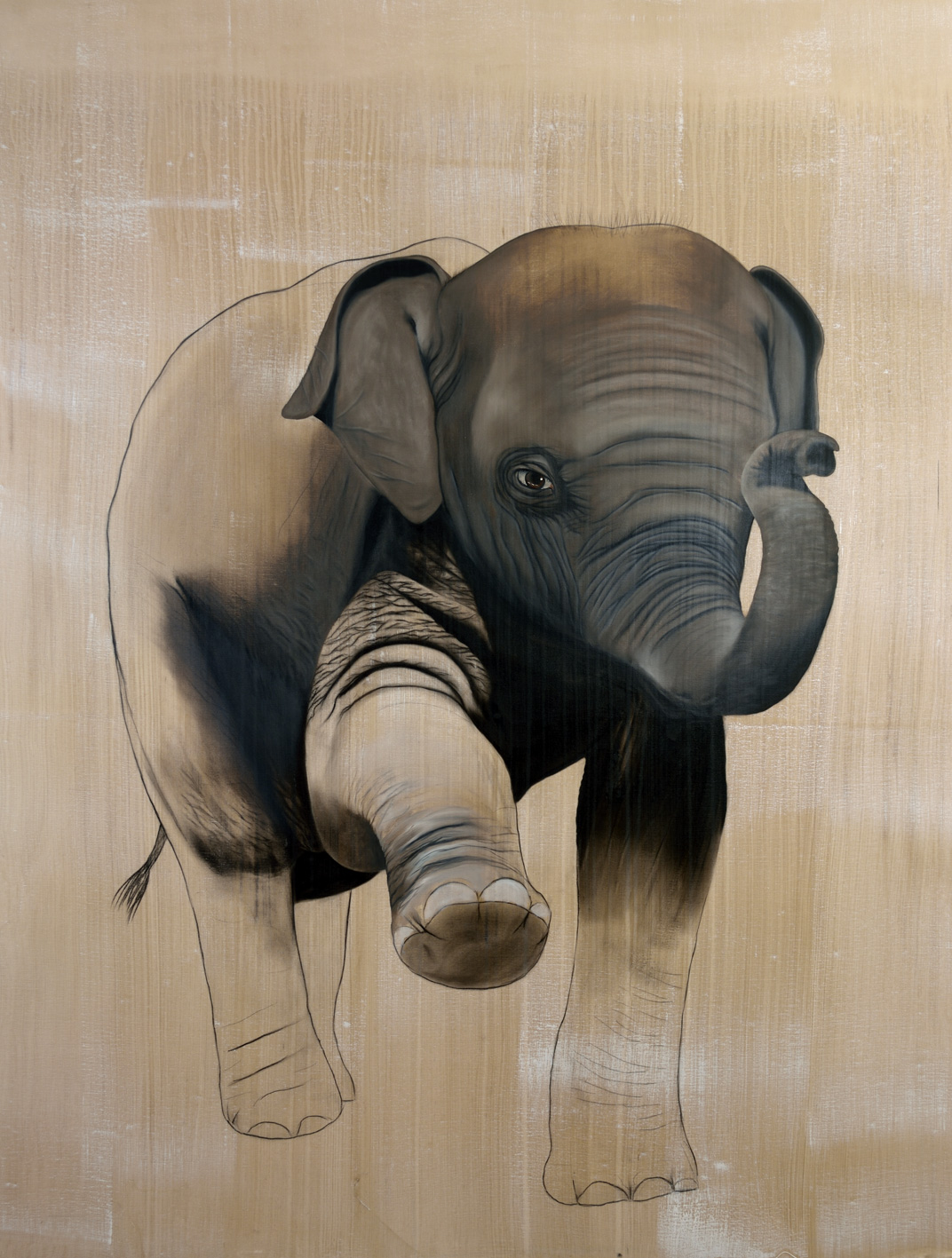 ELEPHAS-MAXIMUS elephant-asiatic-indian-baby-elephas-maximus-delete-threatened-endangered-extinction
 Thierry Bisch Contemporary painter animals painting art  nature biodiversity conservation 
