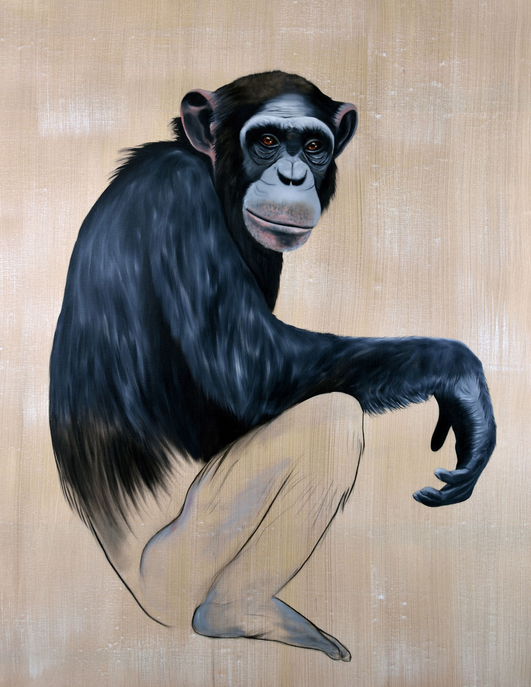 PAN-TROGLODYTES pan-troglodytes-chimpanzee Thierry Bisch Contemporary painter animals painting art  nature biodiversity conservation 