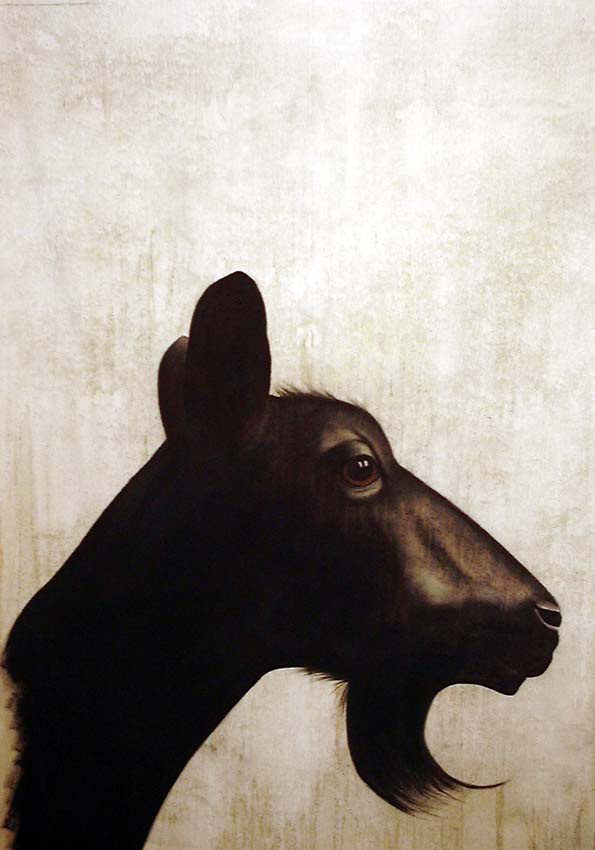 Chevre chèvre-du-poitou-noire-biquette Thierry Bisch artiste peintre animaux tableau art  nature biodiversité conservation  