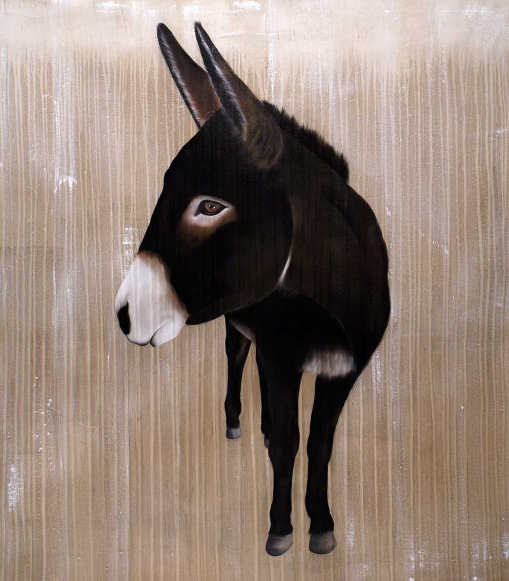 Kali âne-ane Thierry Bisch artiste peintre contemporain animaux tableau art décoration biodiversité conservation 