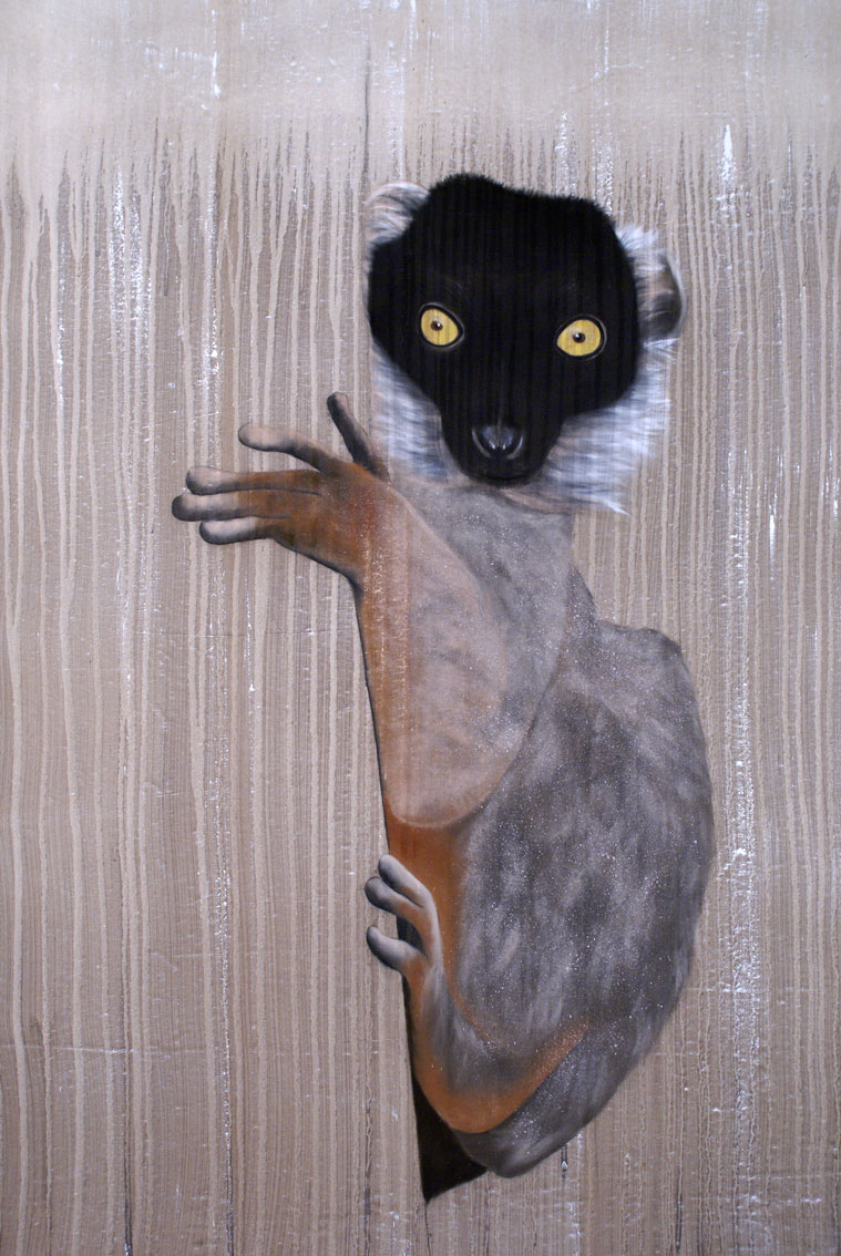 Collared Brown Lemur lemur Thierry Bisch artiste peintre contemporain animaux tableau art décoration biodiversité conservation 