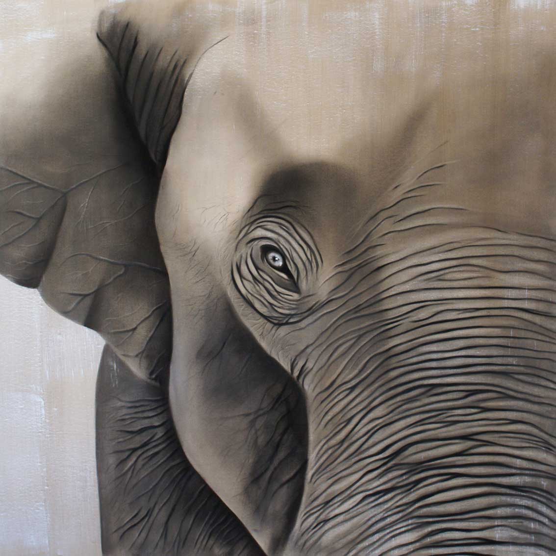 Elephant élephant Thierry Bisch artiste peintre animaux tableau art  nature biodiversité conservation  
