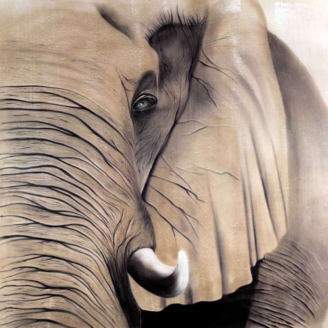 Elephant 2 élephant-elephant Thierry Bisch artiste peintre animaux tableau art  nature biodiversité conservation  