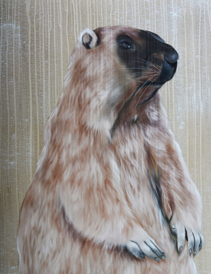 GROUNDHOG marmotte Thierry Bisch artiste peintre contemporain animaux tableau art décoration biodiversité conservation 