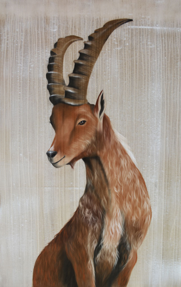BOUQUETIN BOUQUETIN Thierry Bisch artiste peintre contemporain animaux tableau art décoration biodiversité conservation 