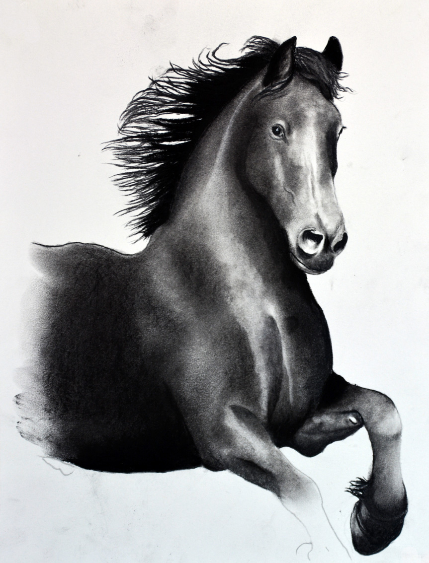 FRIESIAN-HORSE-03 peinture-animalière Thierry Bisch artiste peintre animaux tableau art  nature biodiversité conservation  