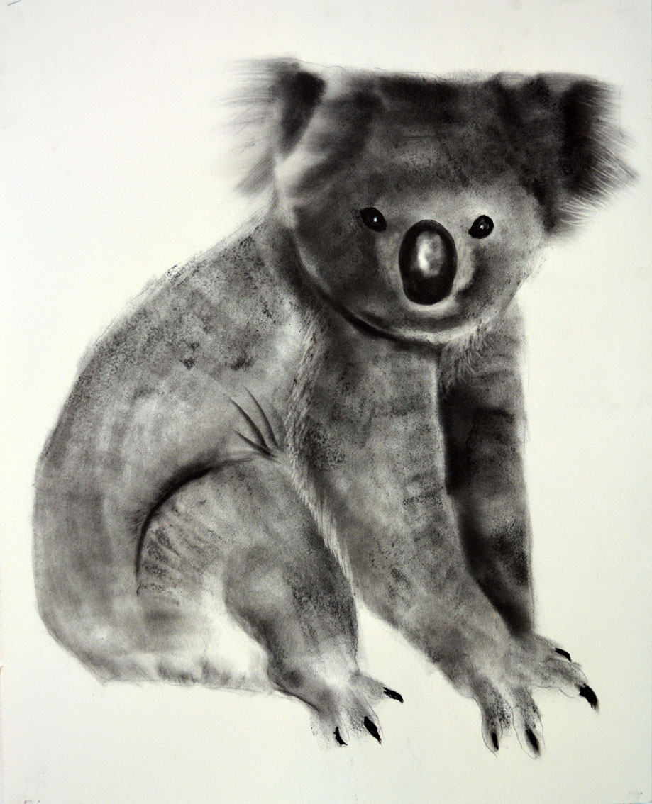 KOALA-2020 koala Thierry Bisch artiste peintre animaux tableau art  nature biodiversité conservation  