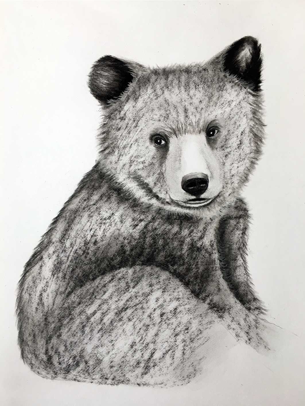 BEAR-CUB-3 ours-ourson-petit- Thierry Bisch artiste peintre animaux tableau art  nature biodiversité conservation  
