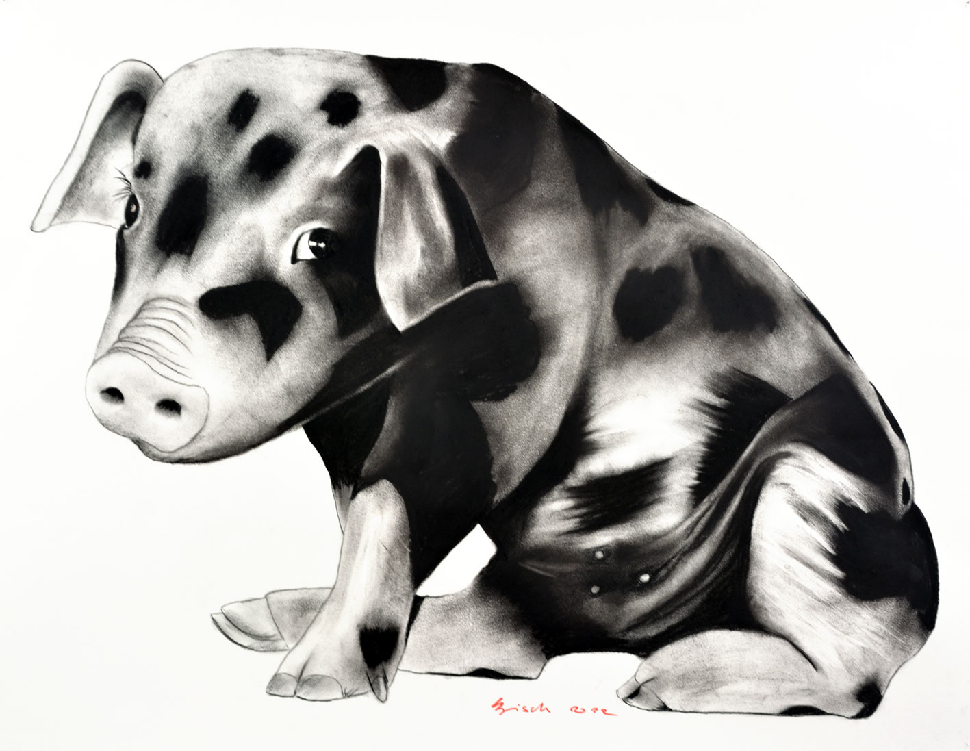 SWEET-PIGGY cochon-porcelet-porc-petit-cochonnet Thierry Bisch artiste peintre animaux tableau art  nature biodiversité conservation  