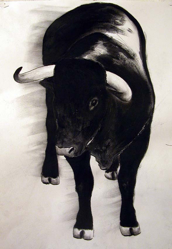 Chaco taureau Thierry Bisch artiste peintre animaux tableau art  nature biodiversité conservation  