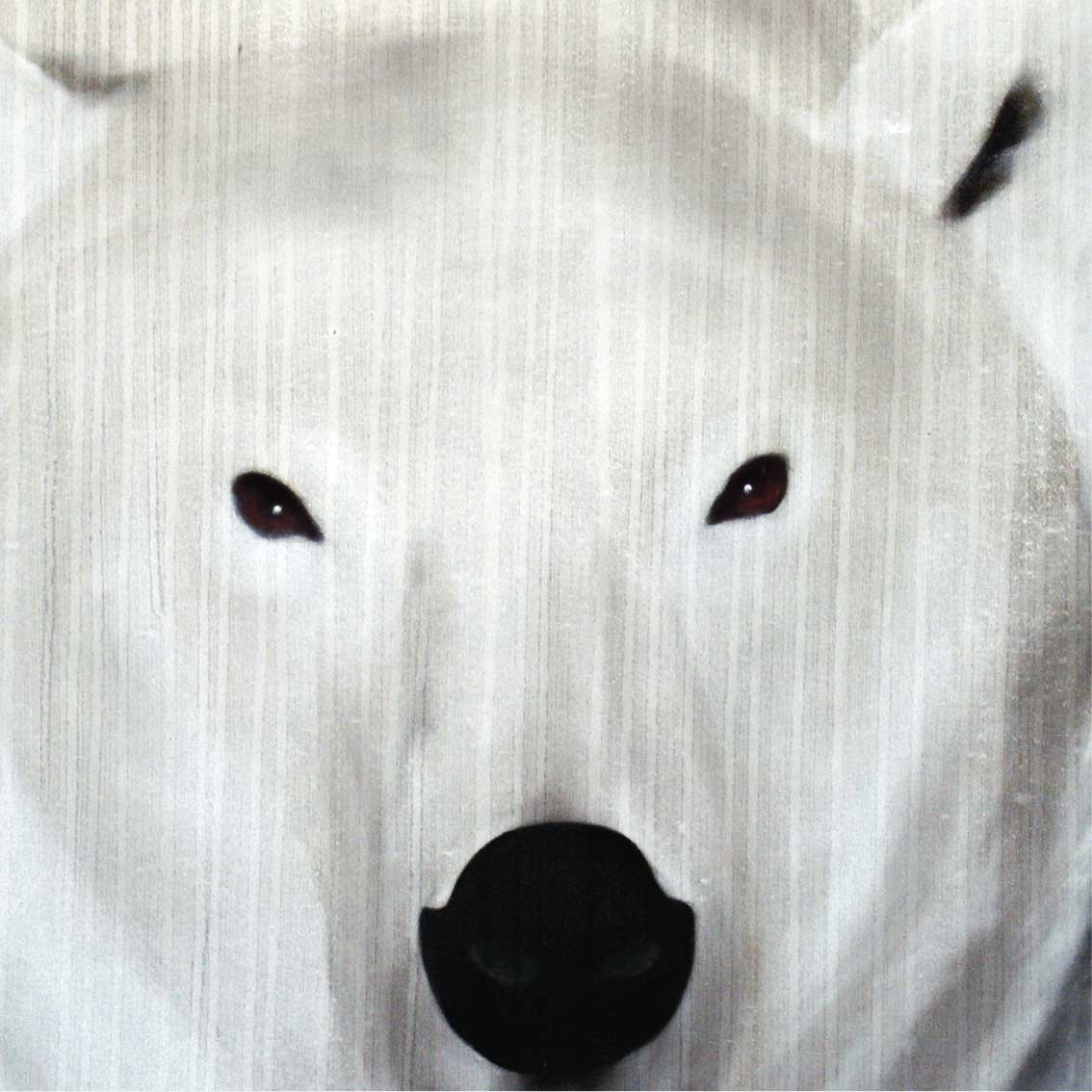 OURS BLANC Ours-blanc Thierry Bisch artiste peintre animaux tableau art  nature biodiversité conservation  