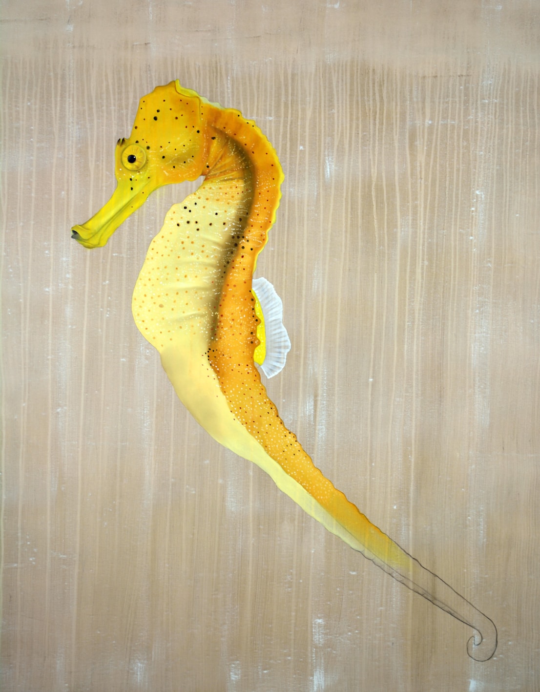 HIPPOCAMPUS GUTTULATUS hippocampe-extinction-protégé-disparition Thierry Bisch artiste peintre contemporain animaux tableau art  nature biodiversité conservation  
