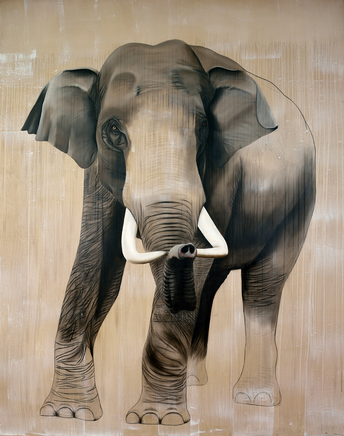 ELEPHAS-MAXIMUS elephant-d`asie-elephas-maximus-déco-décoration-toile-imprimée-grand-format-bâche-luxe-haute-qualité Thierry Bisch artiste peintre animaux tableau art  nature biodiversité conservation  