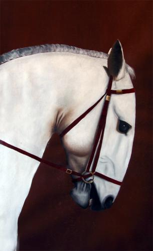  cheval Thierry Bisch artiste peintre contemporain animaux tableau art décoration biodiversité conservation 
