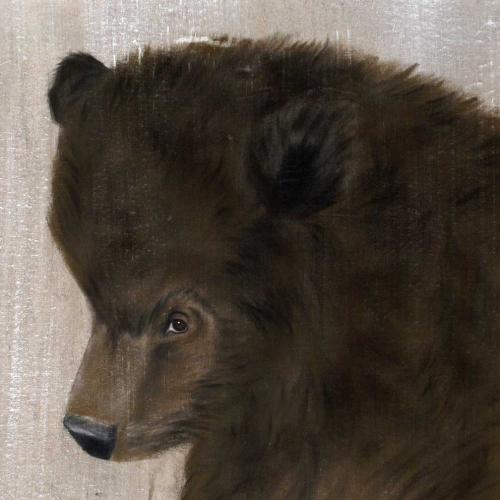  ourson ours Thierry Bisch artiste peintre contemporain animaux tableau art décoration biodiversité conservation 