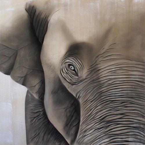  Elephant Thierry Bisch Contemporary painter animals painting art decoration nature biodiversity conservation