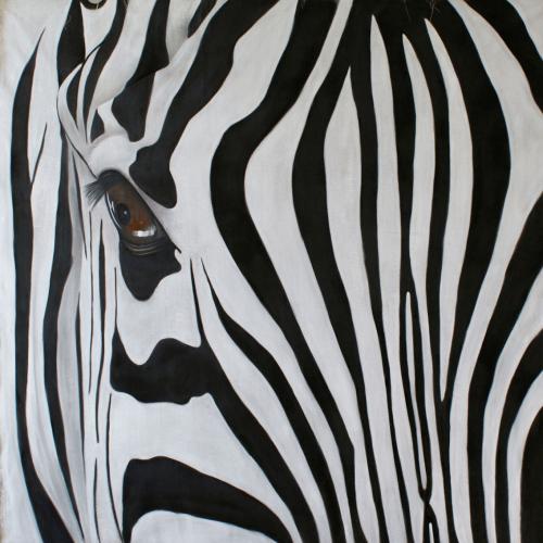 Zebre zebra 