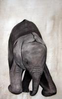 BB Elephant élephant-élephanteau-elephant Thierry Bisch artiste peintre animaux tableau art  nature biodiversité conservation 