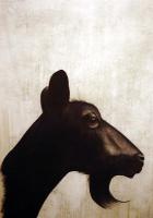 Chevre chèvre-du-poitou-noire-biquette Thierry Bisch artiste peintre animaux tableau art  nature biodiversité conservation 