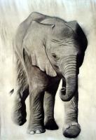 Elephanteau Elephant-baby Thierry Bisch Contemporary painter animals painting art  nature biodiversity conservation