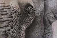 ELEPHANT-16 éléphant- Thierry Bisch artiste peintre contemporain animaux tableau art  nature biodiversité conservation 