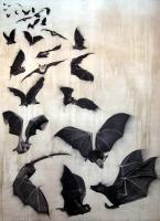 Bats chauve-souris-envol-de-chauves-souris Thierry Bisch artiste peintre contemporain animaux tableau art  nature biodiversité conservation 