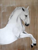 Cheval blanc white-horse Thierry Bisch Contemporary painter animals painting art  nature biodiversity conservation